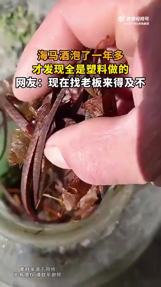 网友用海马酒泡了一年多才发现全是塑料做的！