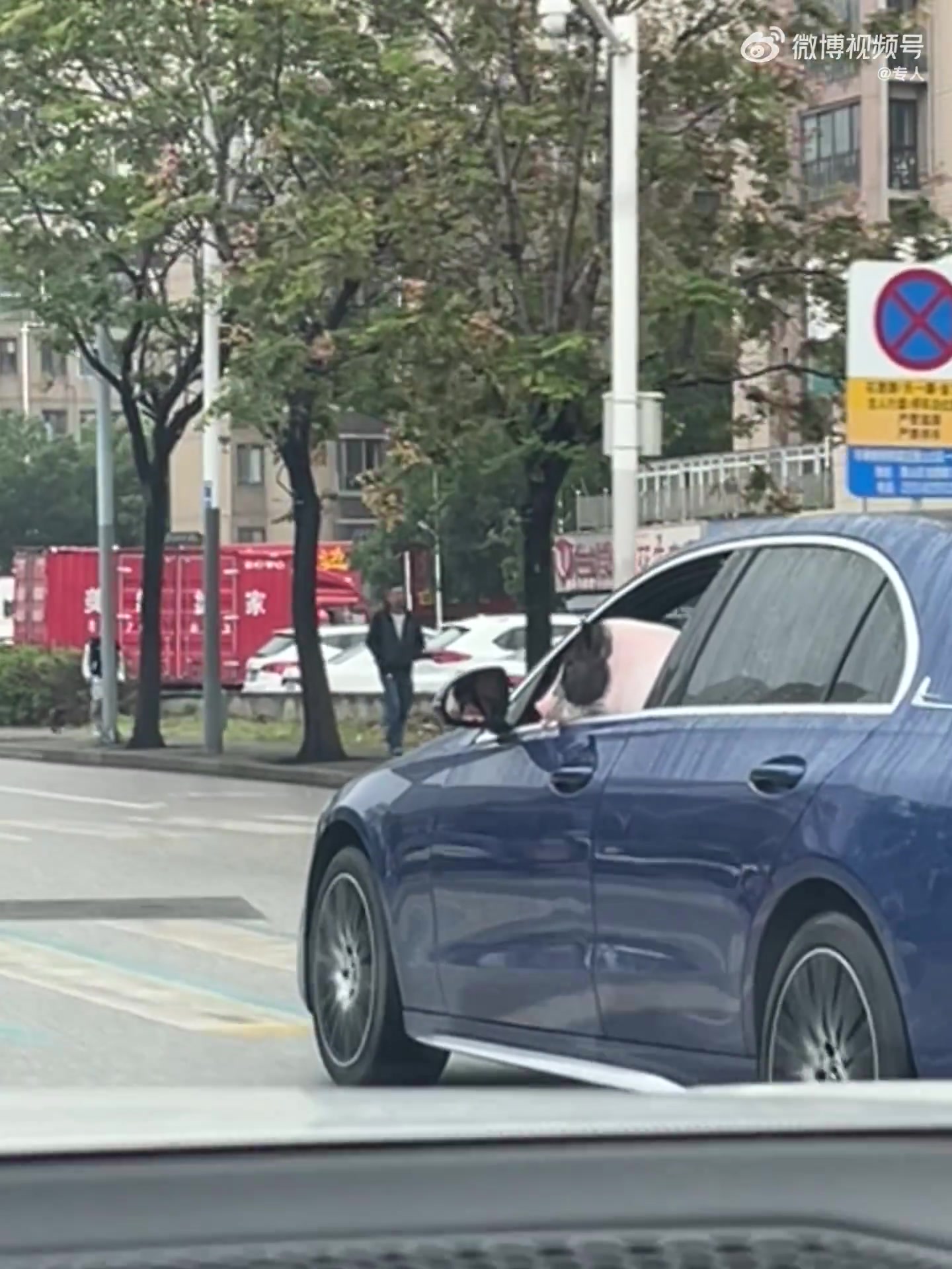 教练没骗我，猪都开得比我好