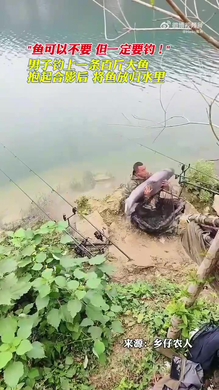 男子钓上一条上百斤的大鱼，抱起合影后，将鱼放归水里