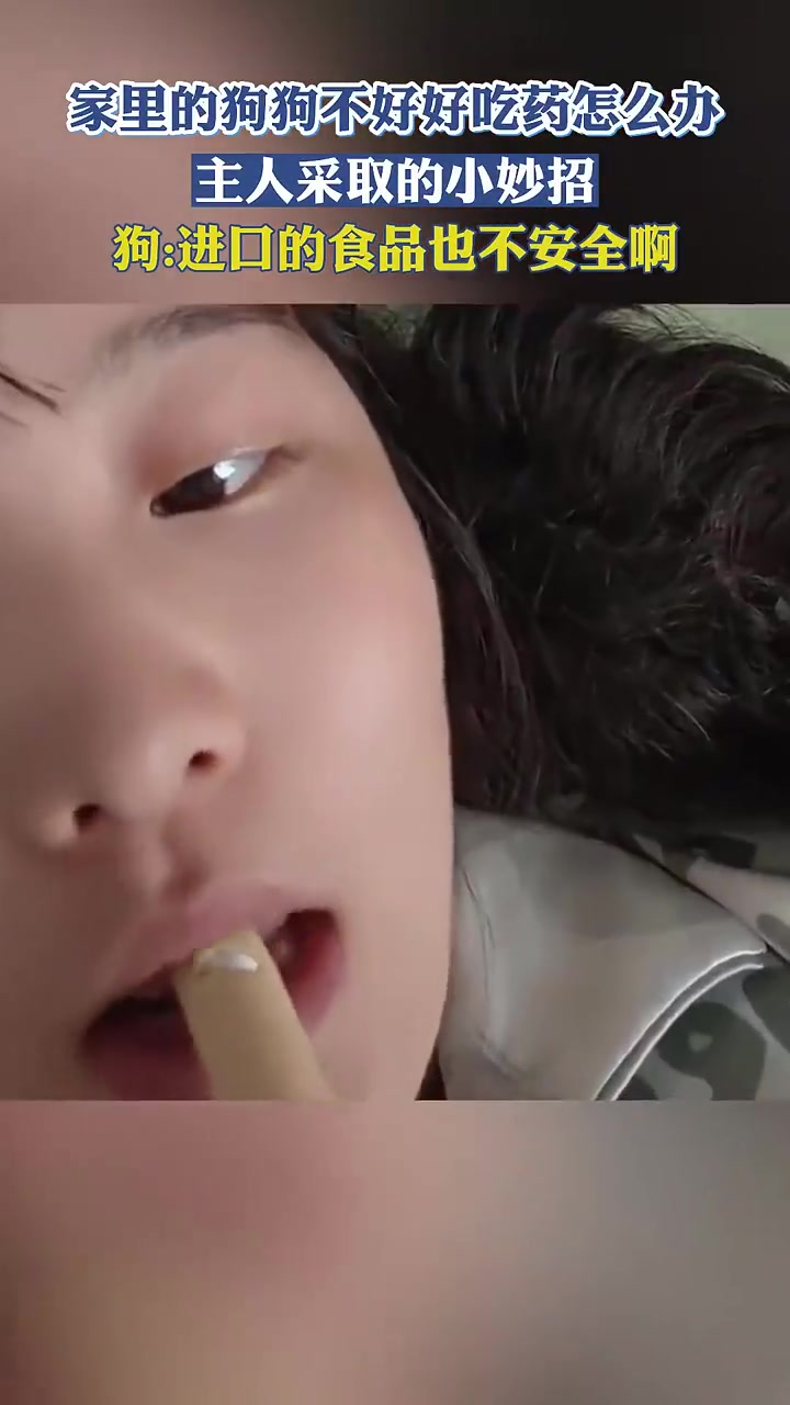 家里的狗狗不好好吃药怎么办，主人采取的小妙招