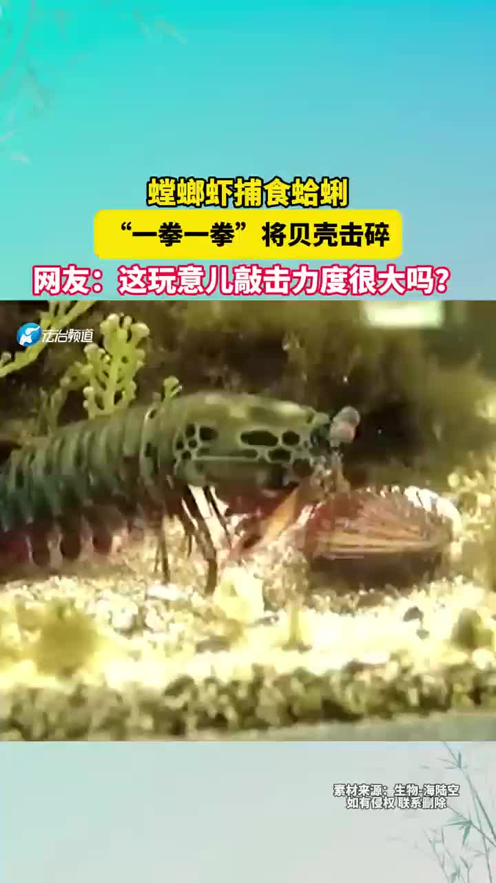 这玩意儿敲击力度很大吗?