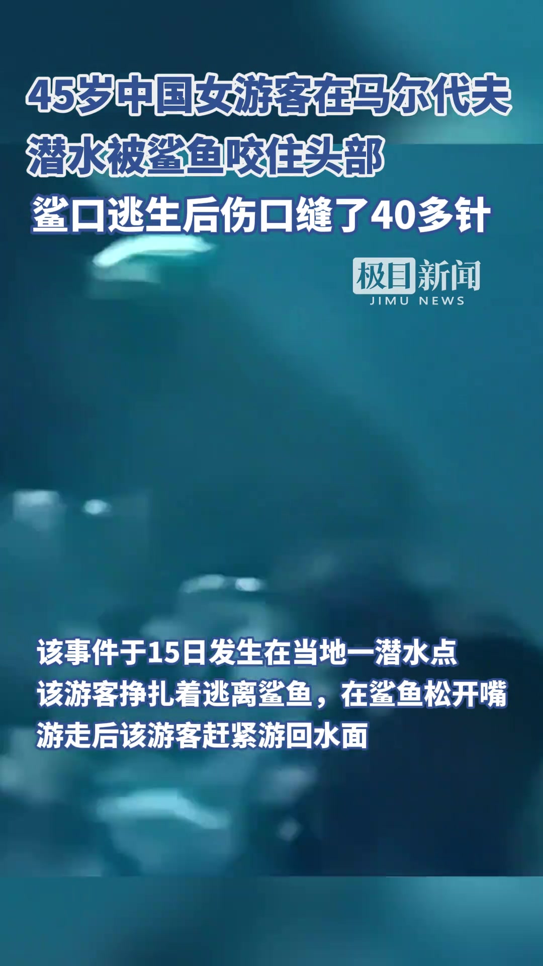 中国女游客马尔代夫潜水被鲨鱼咬头