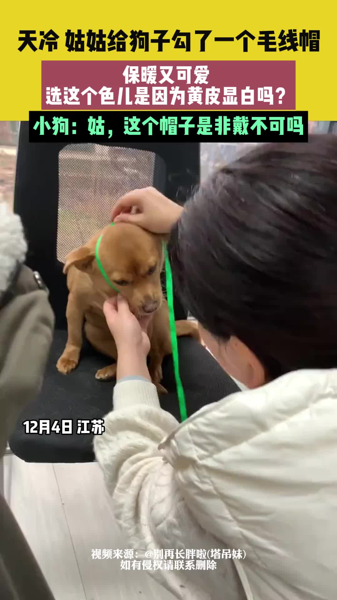 小狗：姑，这个帽子是非戴不可吗！