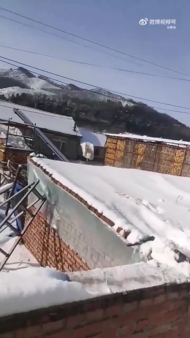 大鹅：这一刀把我颈椎病都治好了