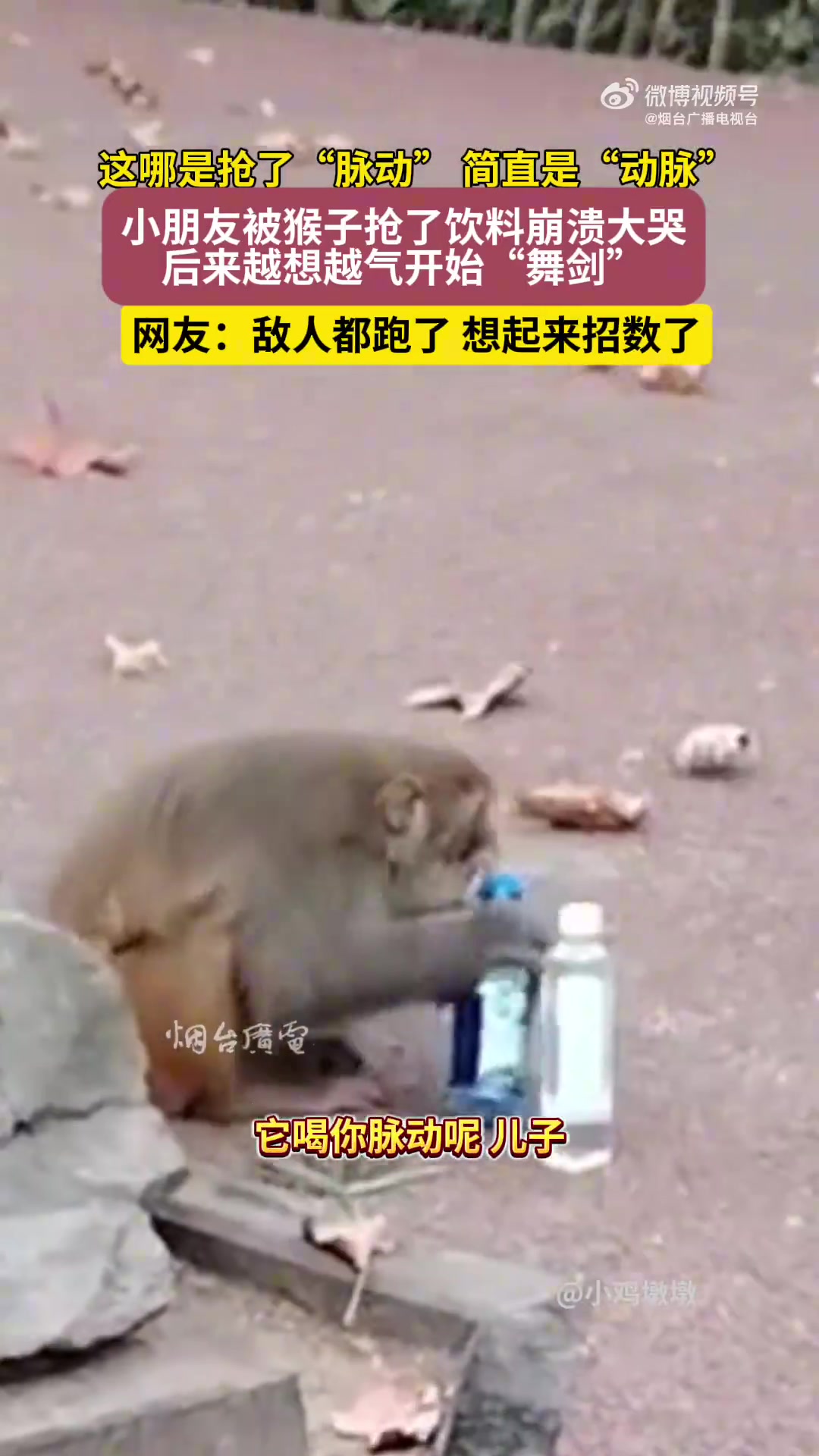 这哪是抢了“脉动”，简直是“动脉”！