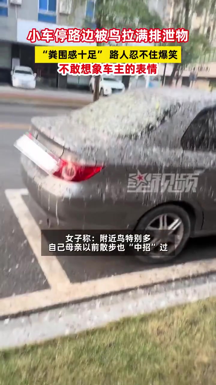 小车停路边被鸟拉满排泄物“粪围感十足”