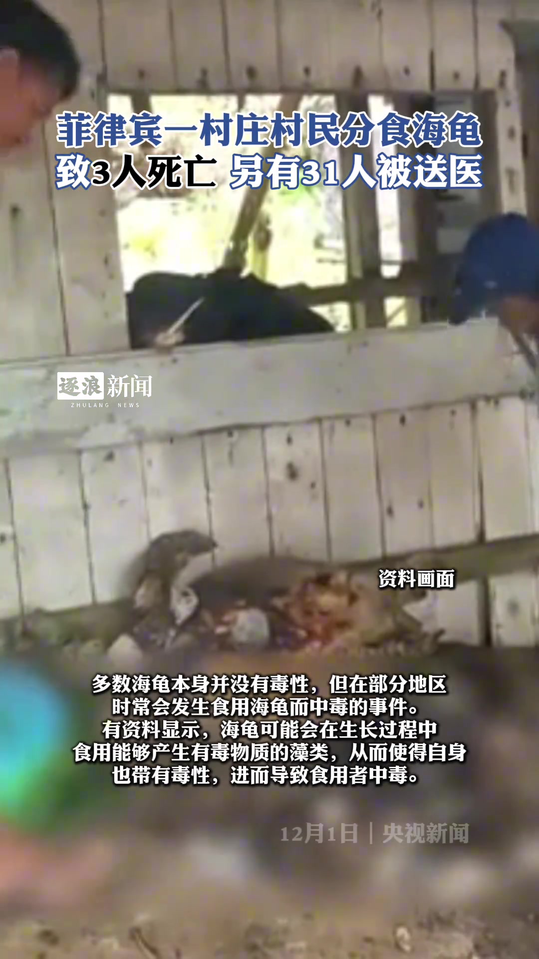 菲律宾村民分食海龟致3死31伤