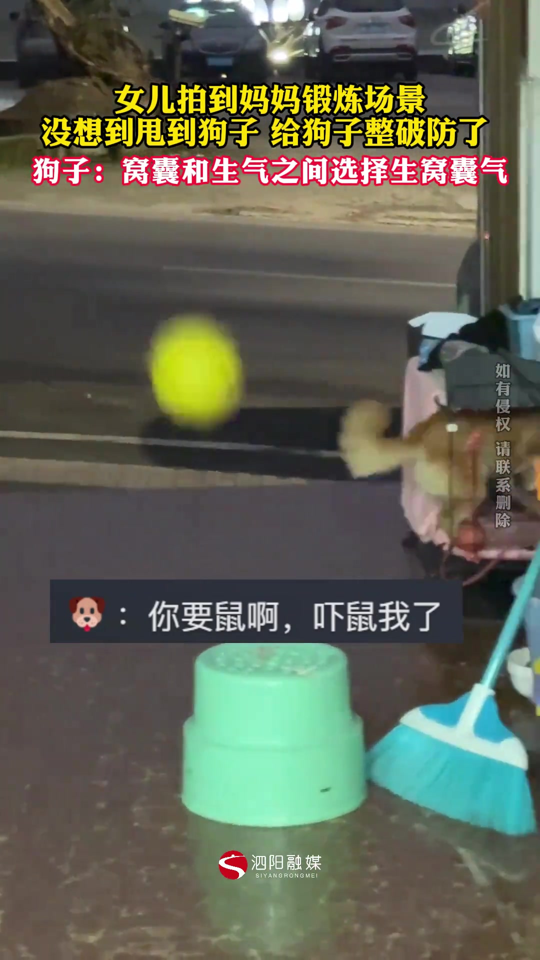 狗子：窝囊和生气之间选择生窝囊气