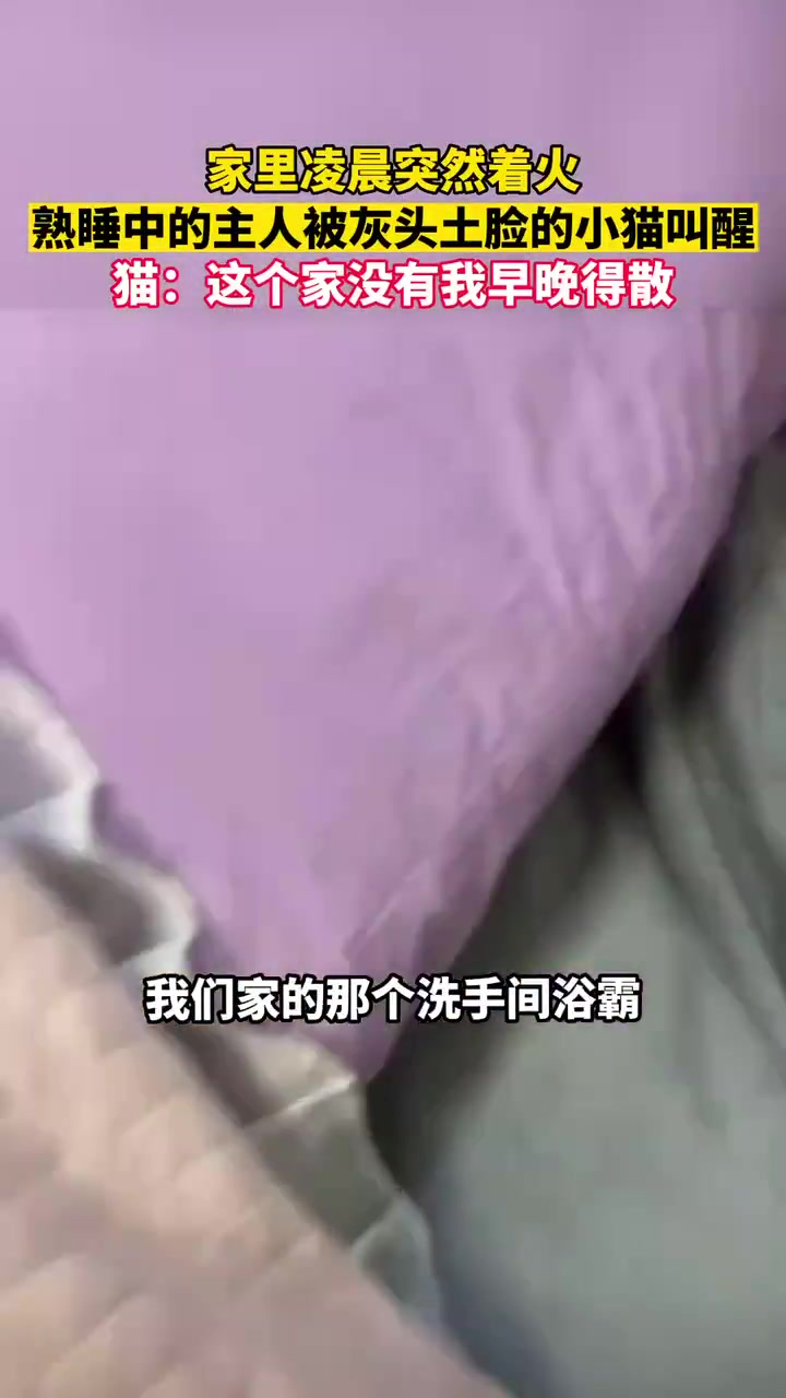 家里凌晨突然着火，熟睡中的主人被灰头土脸的小猫叫醒