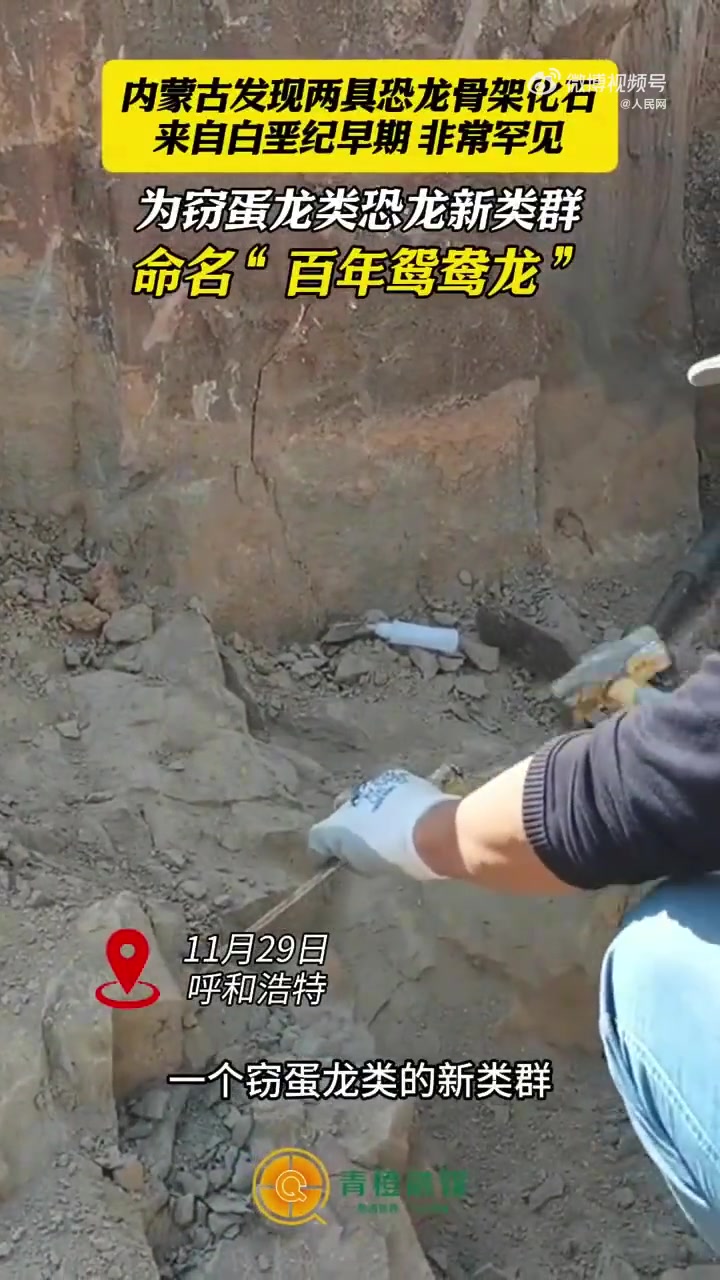 百年鸳鸯龙”！恐龙家族再添新丁