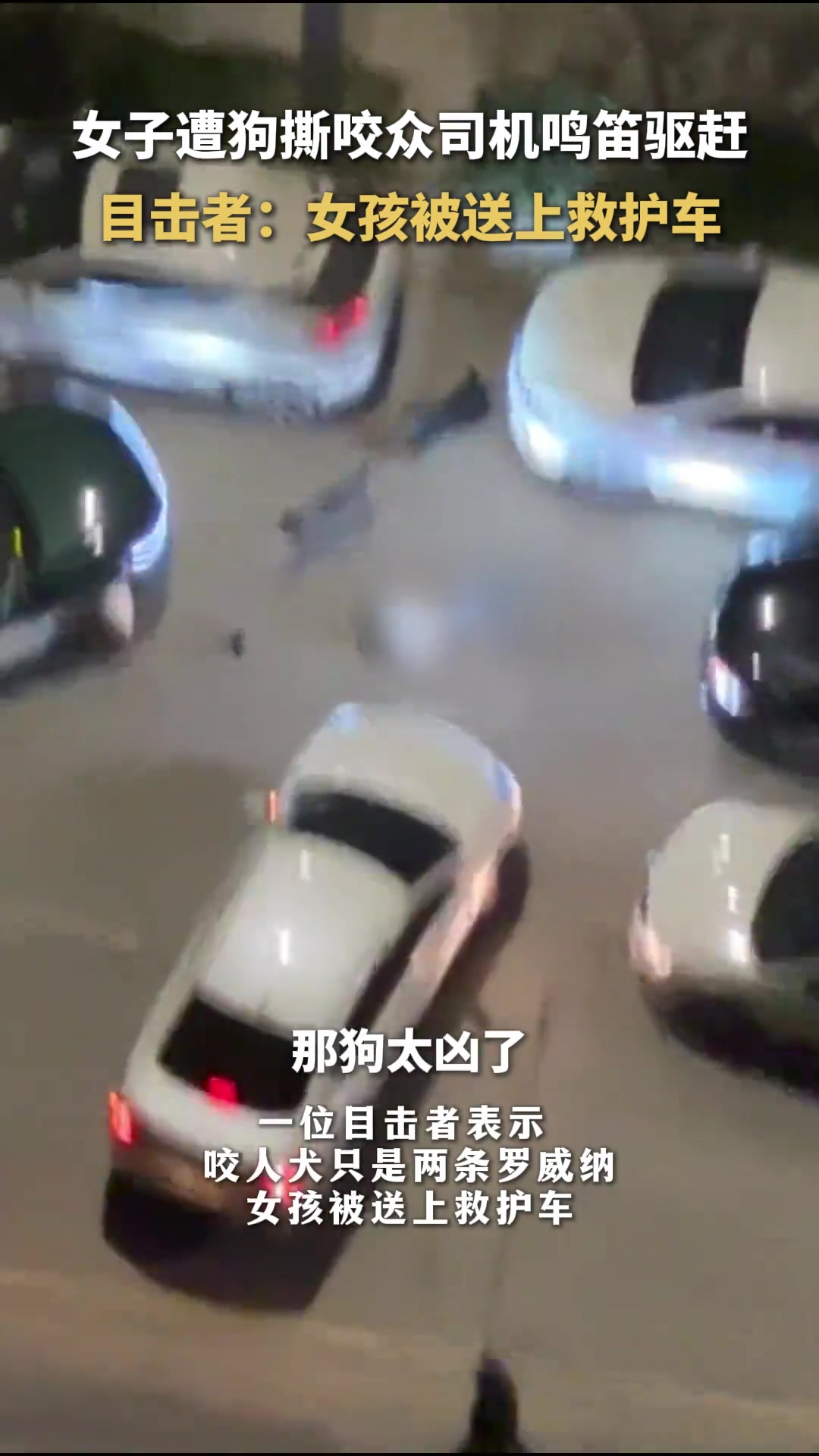 女子遭狗撕咬，众司机鸣笛驱赶，伤者送医