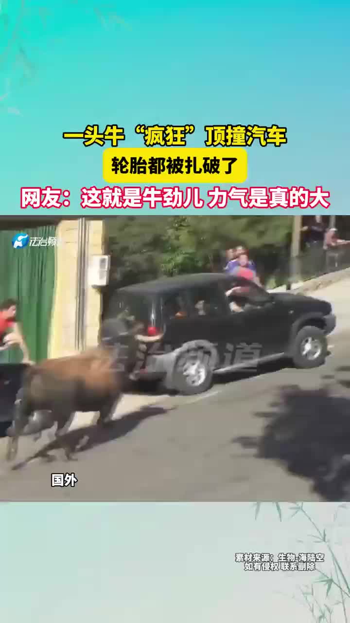 这就是牛劲儿，力气是真的大啊！