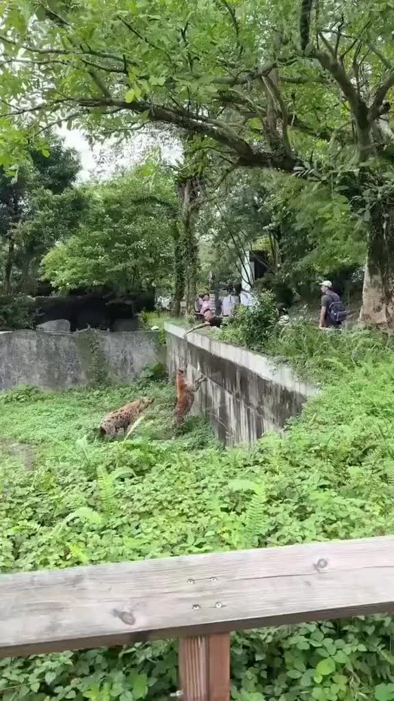 这种人是真的天不怕地不怕啊！