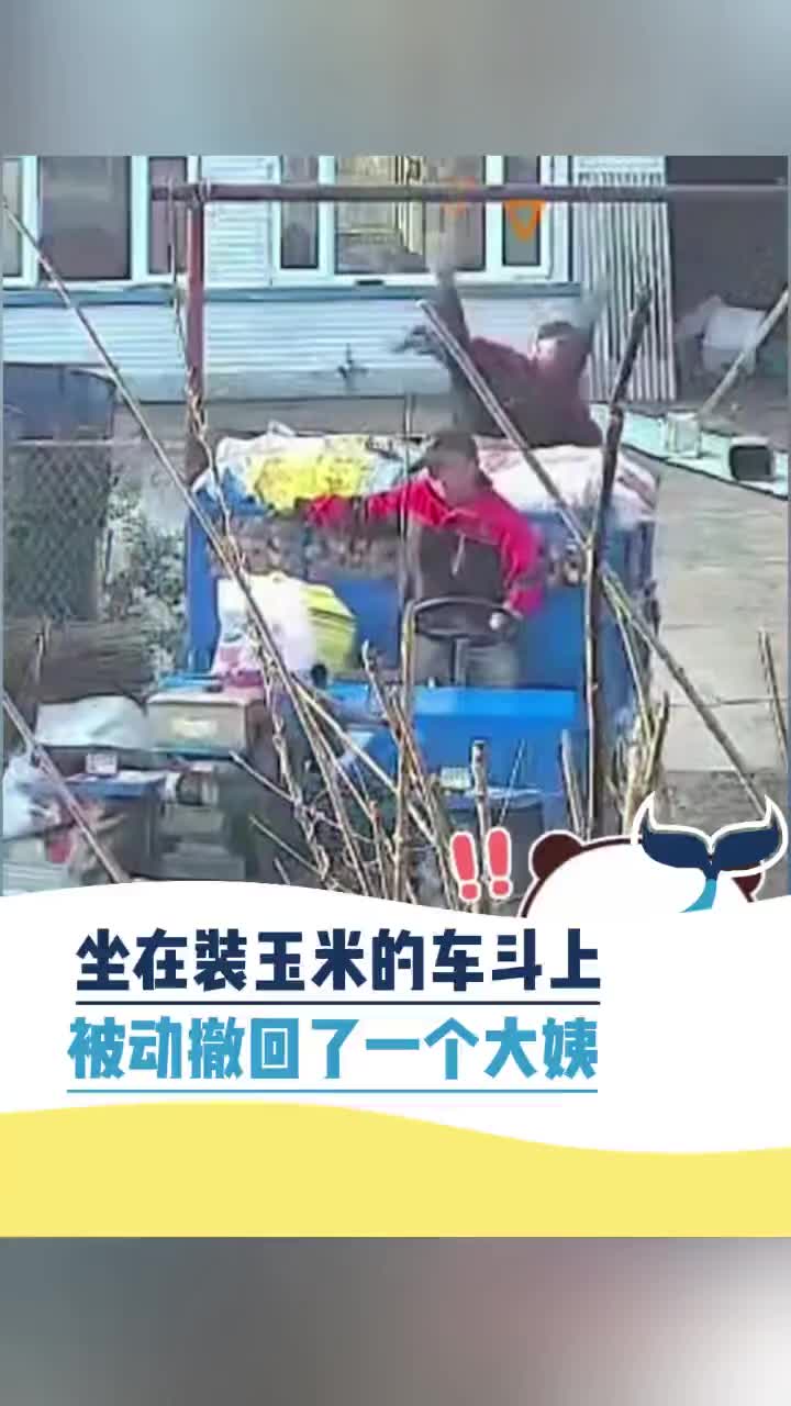 坐在玉米的车斗上，被动撤回了一个大姨！