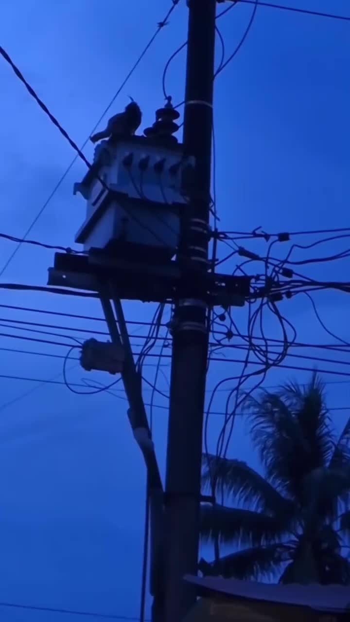 不出意外的话，还是出了意外