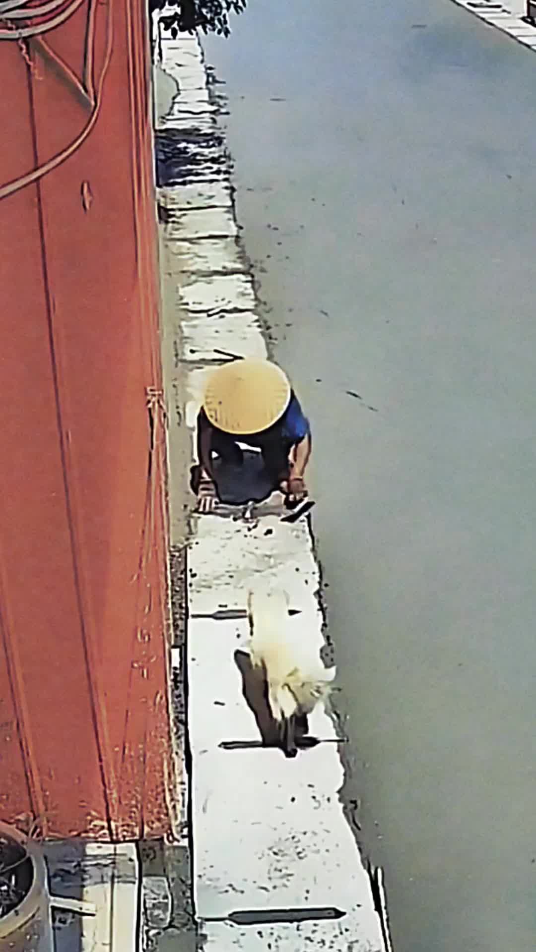 大叔您挡住了它的路，不然的话它也不会这么走了！