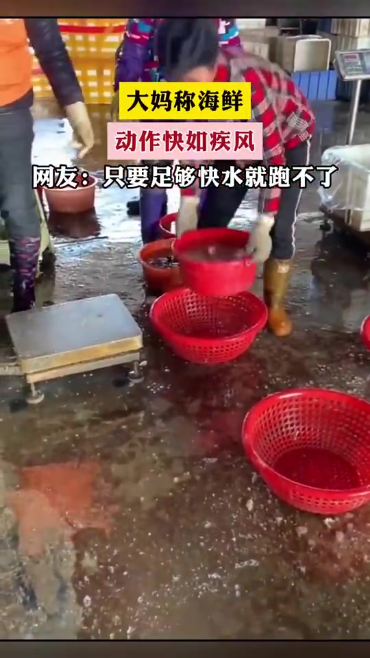 大妈称海鲜，手速飞快如同疾风