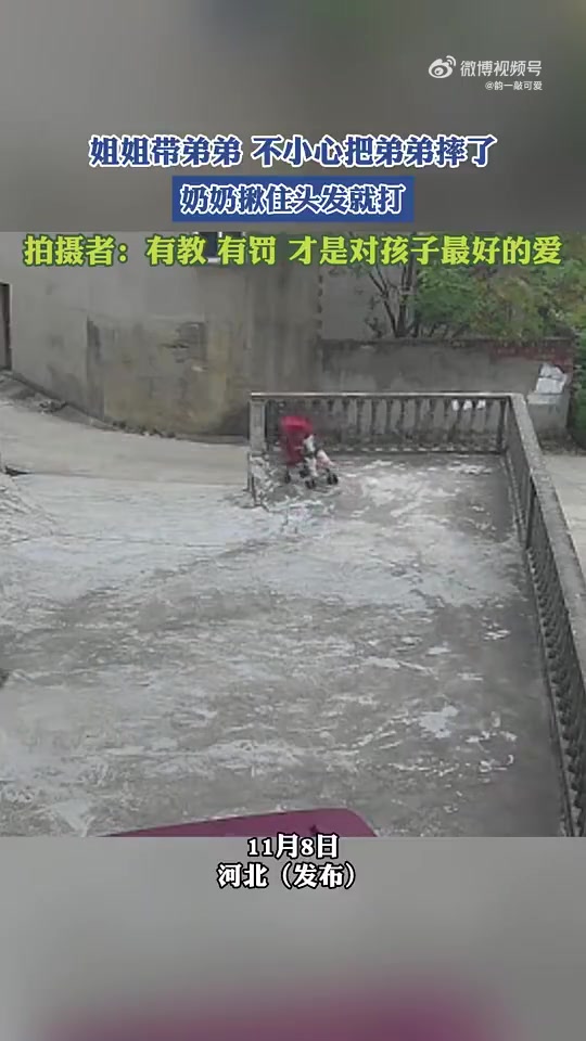 姐姐带弟弟时摔了弟弟，奶奶揪住姐姐头发就打