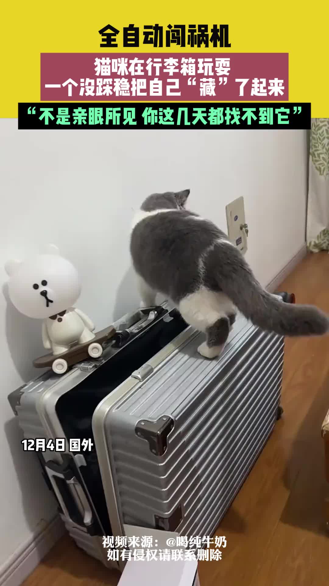 猫咪再见了，妈妈，今天我就要去旅行！