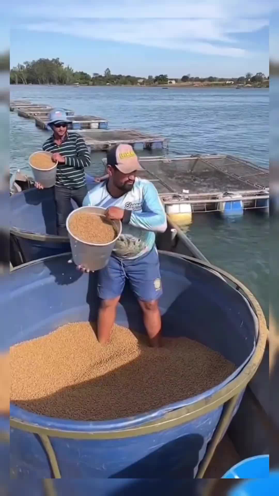 这一箱里的鱼得有几百斤吧