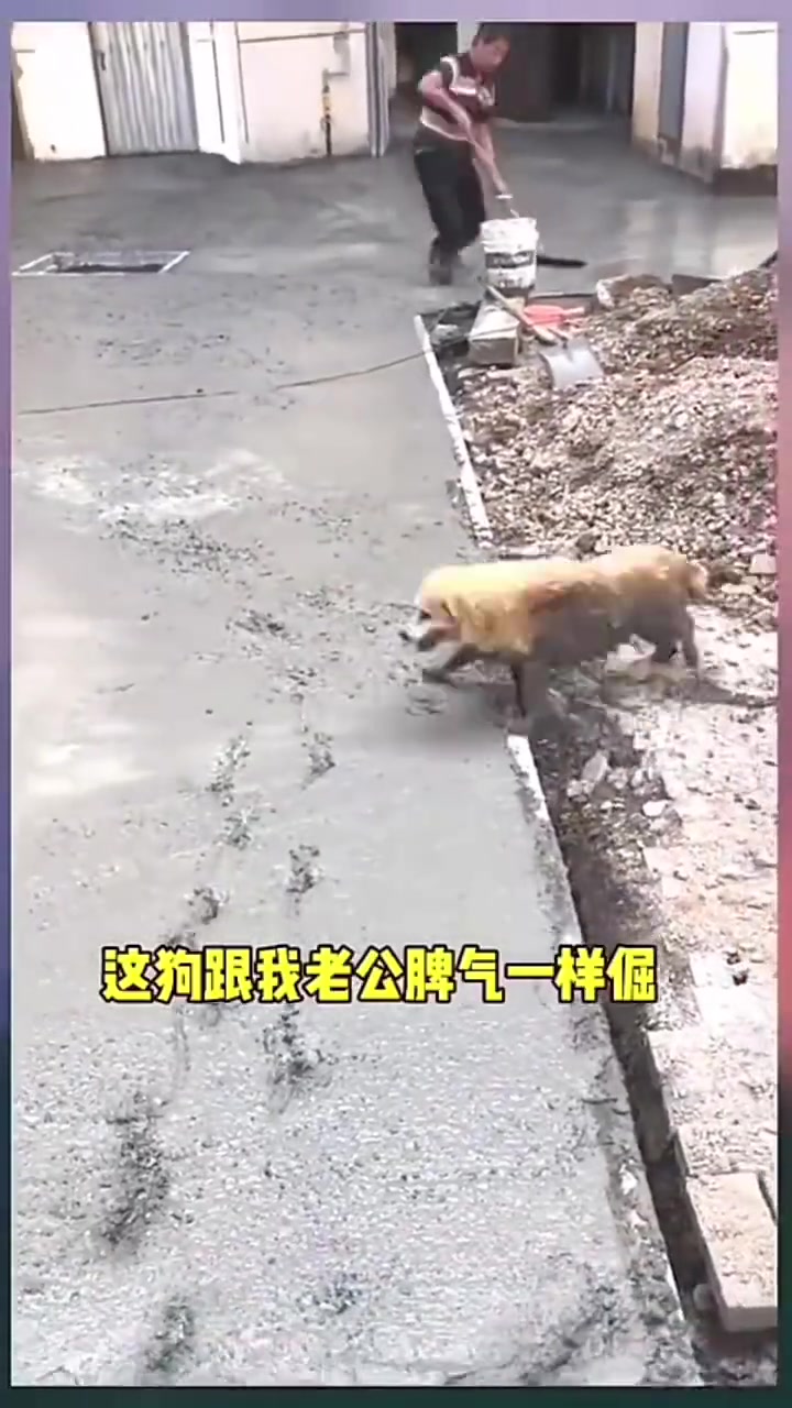 这和现在叛逆期的孩子有一拼
