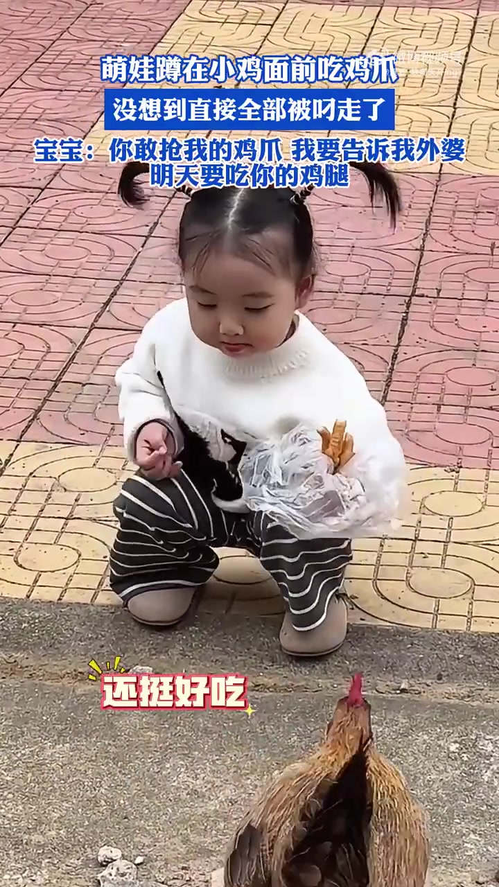 萌娃蹲在小鸡面前吃鸡爪，没想到直接全部被叼走了