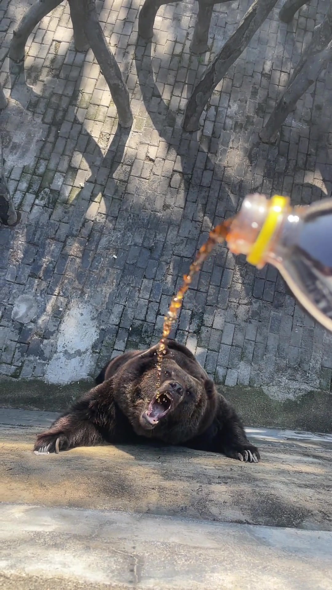 接的还挺准就是我倒的不准