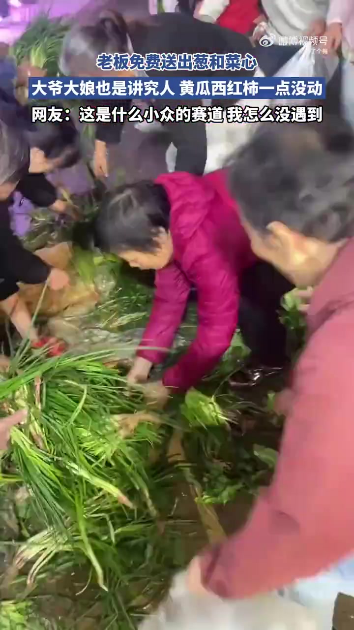 老板免费送葱和菜心，大爷大娘讲究，黄瓜西红柿未动