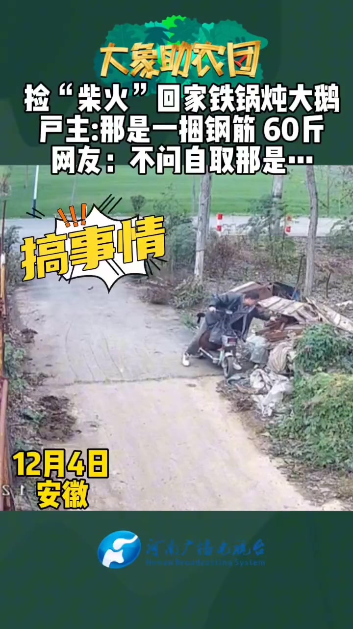 捡“柴火”回家铁锅炖大鹅户主那是一捆钢筋60斤