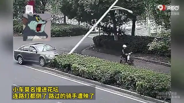 小车莫名奇妙撞进花坛连路灯都倒了路过的骑手遭殃了