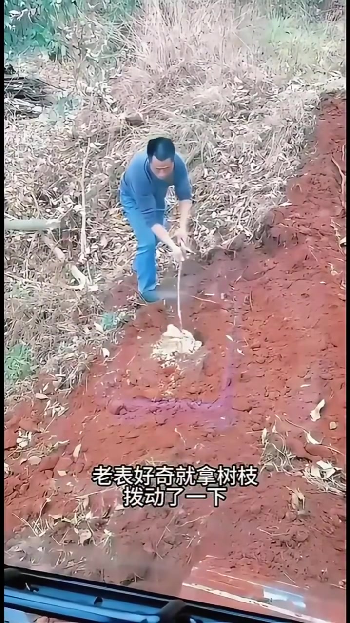 老表地里挖出个白色玩意，吓的老表转身就跑