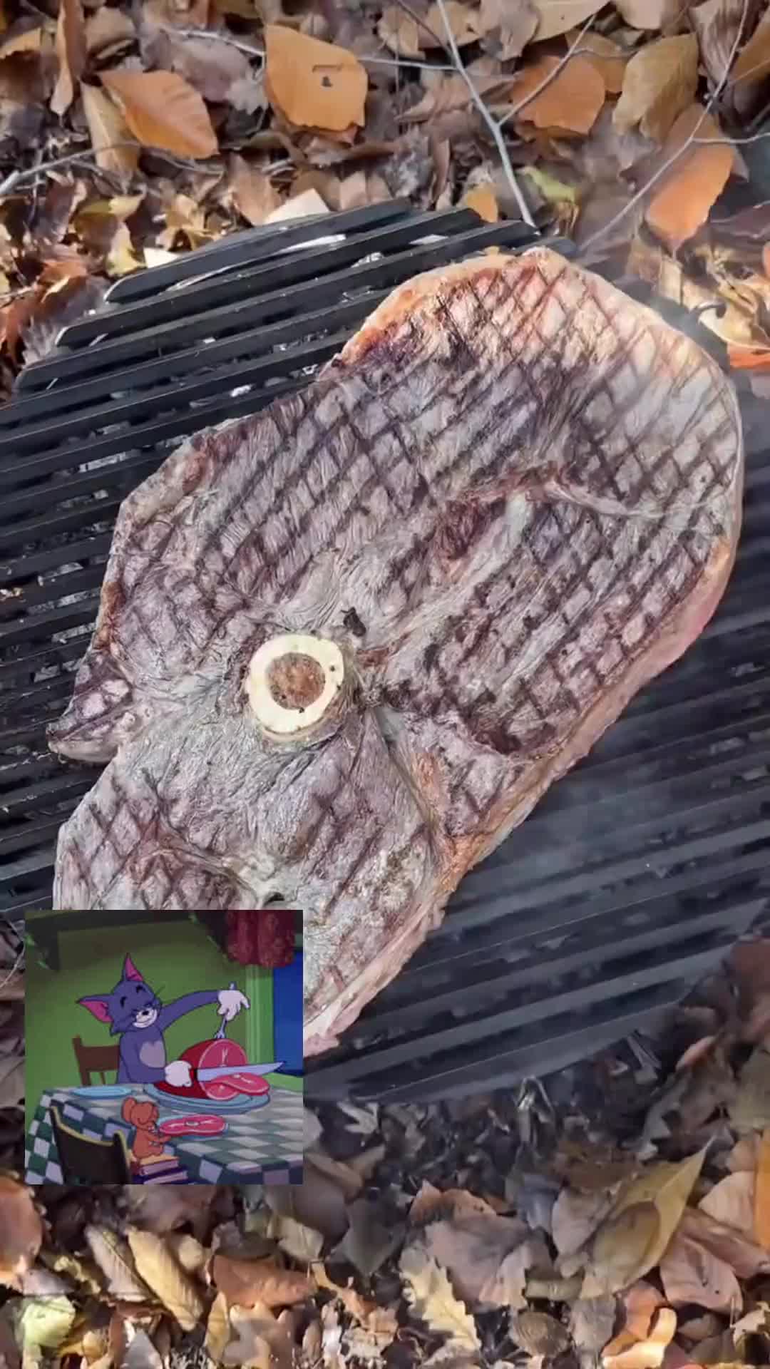 猫和老鼠里的大牛排，你知道是哪块肉吗