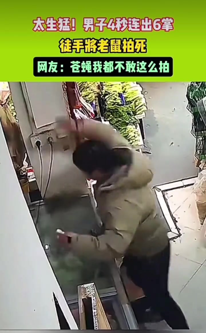 老鼠：做梦都没想到死之前还能做一次全身按摩