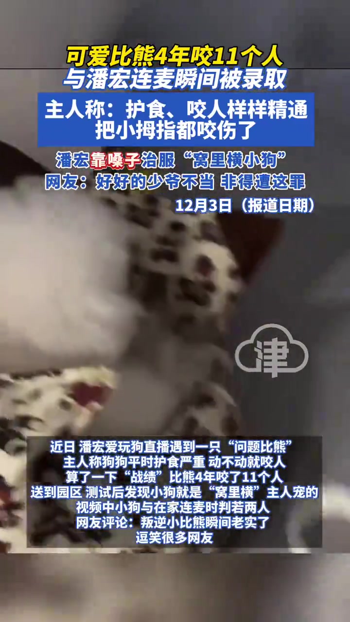 窝里横！潘宏爱玩狗直播遇到一只“问题”狗