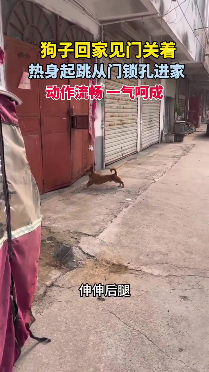这准备工作是太娴熟了