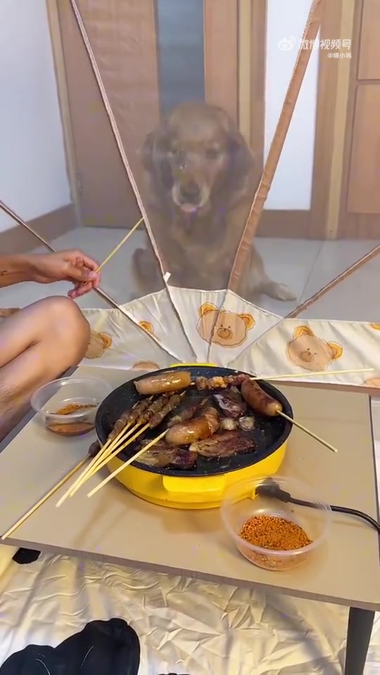 狗：吃到了又好像没吃
