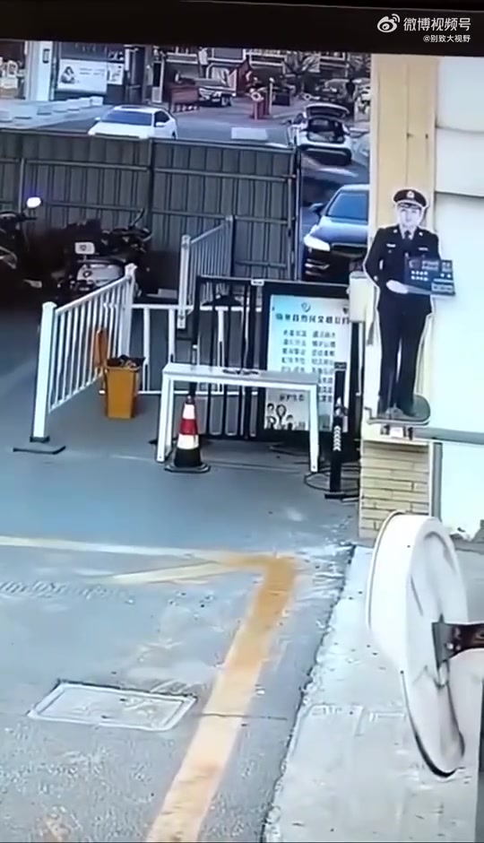 真应了那句话，女司机十里之内寸草不生！