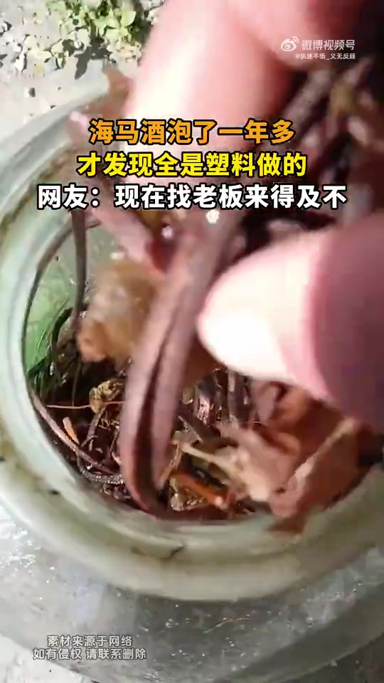 海马酒泡了一年多，你告诉我全是塑料做的！