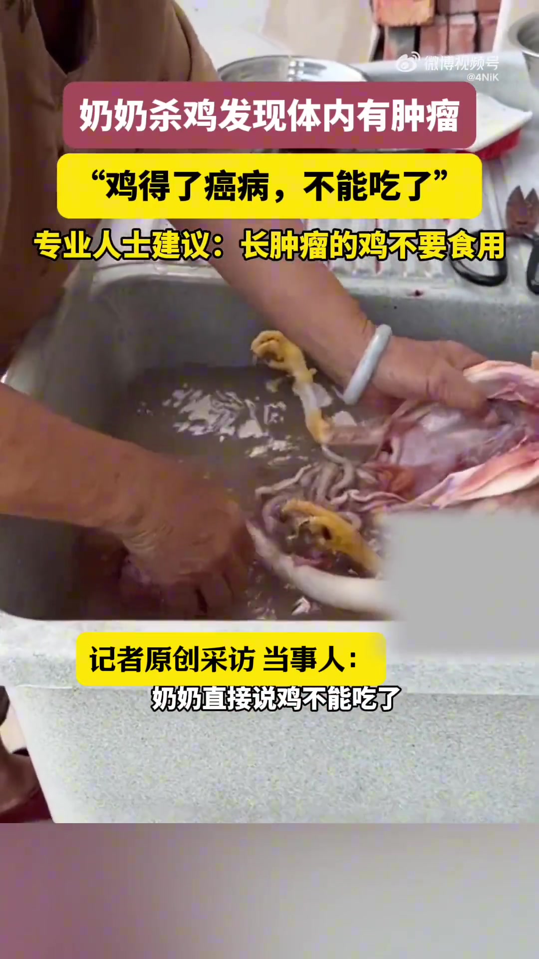 奶奶杀鸡发现体内有肿瘤：“鸡得了癌病，不能吃了”