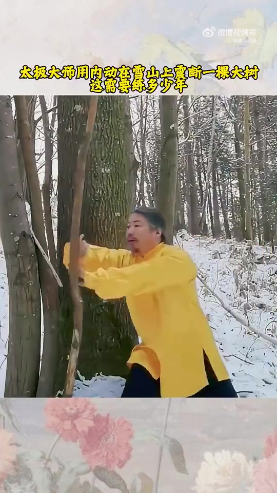 太极大师用内功在雪山上震断一棵大树，这需要练多少年