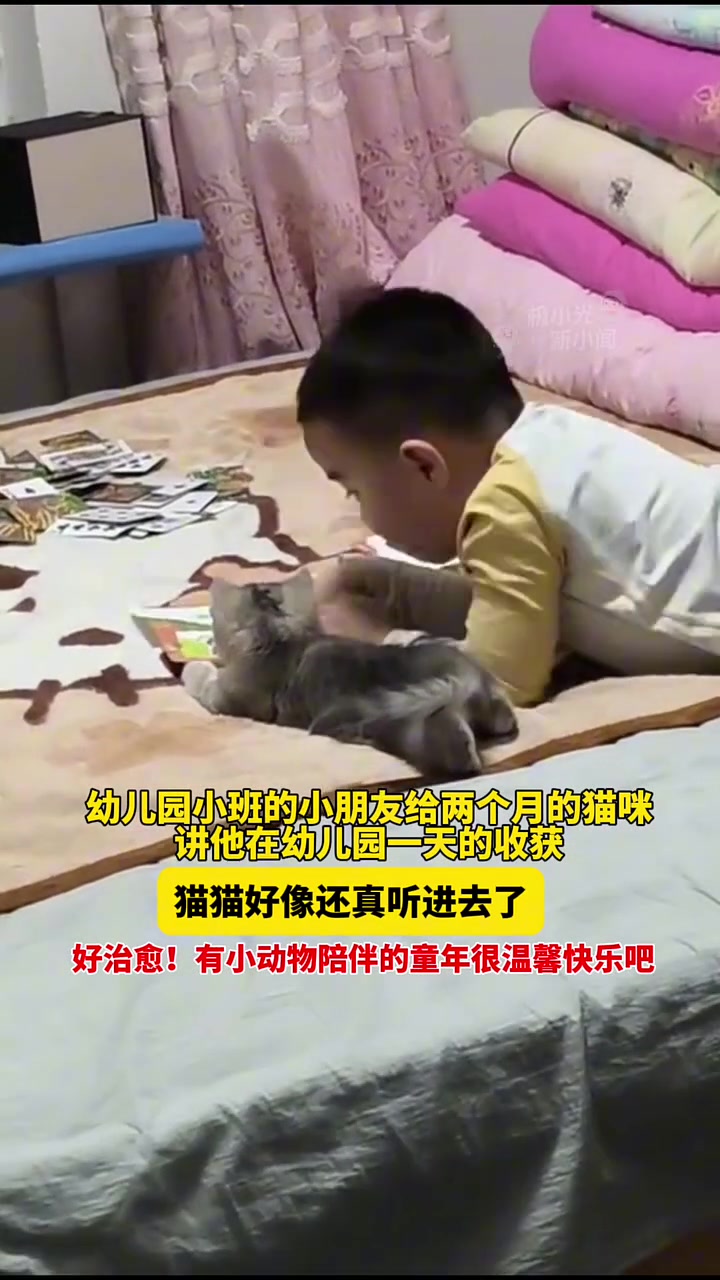 幼儿园小班的小朋友给两个月的猫咪讲他在幼儿园一天的收获