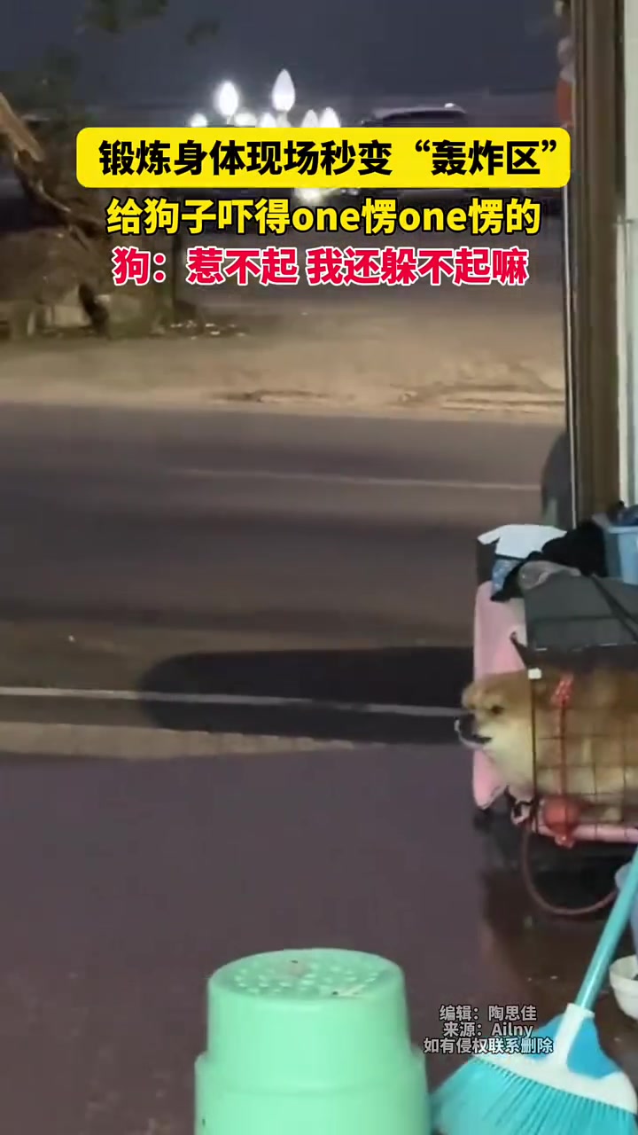 锻炼身体现场秒变“轰炸区”，给狗子吓得one愣one愣的