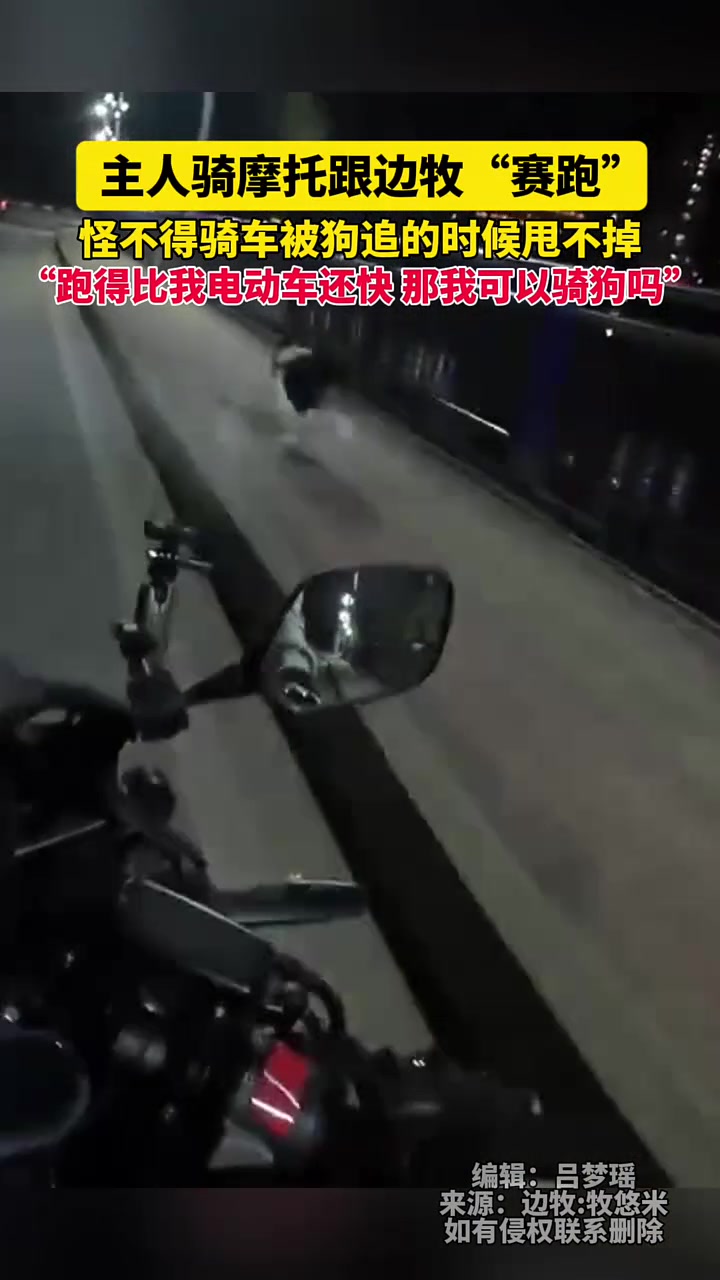主人骑摩托跟边牧“赛跑”，怪不得骑车被狗追的时候甩不掉