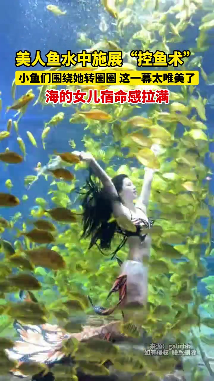 美人鱼水中施展“控鱼术”，小鱼们围绕她转圈圈，这一幕太唯美了