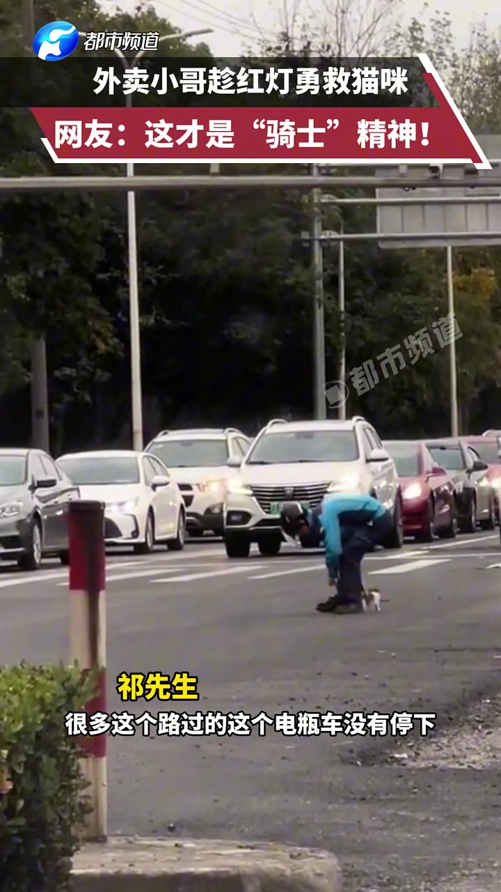 外卖小哥趁红灯勇救猫咪