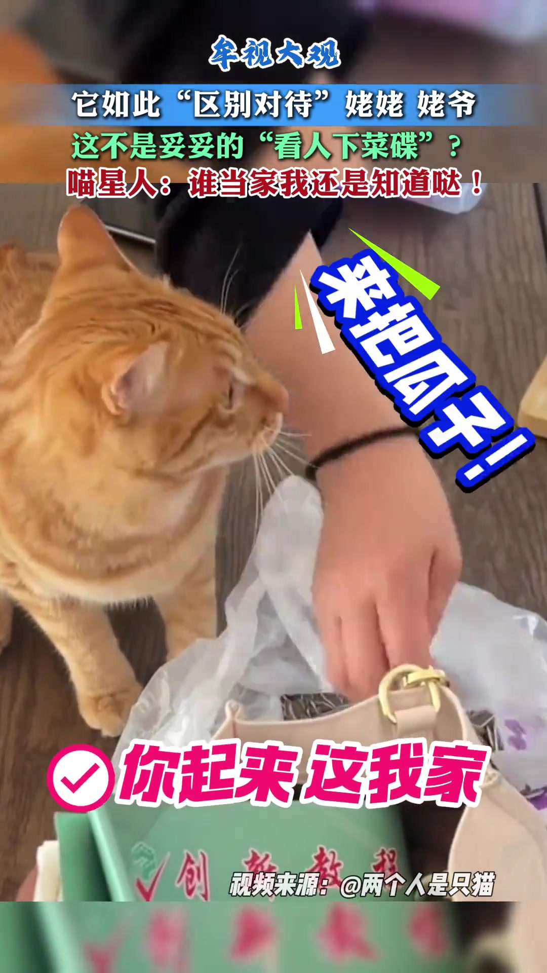 喵星人如此“区别对待”这不妥妥的“看人下菜碟”