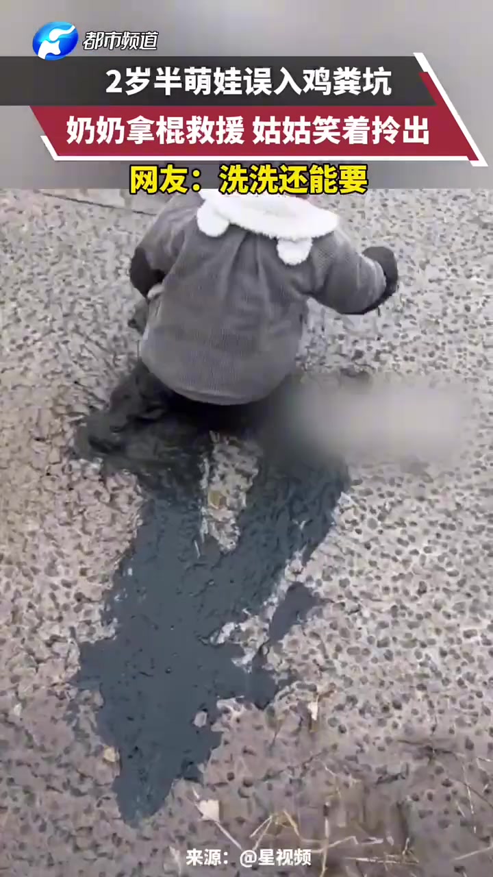 2岁半萌娃误入鸡粪坑，奶奶拿棍救援，姑姑笑着拎出