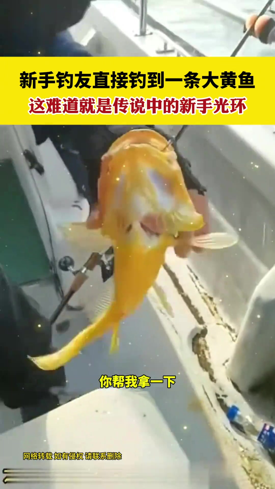 这难道就是传说中的新手光环