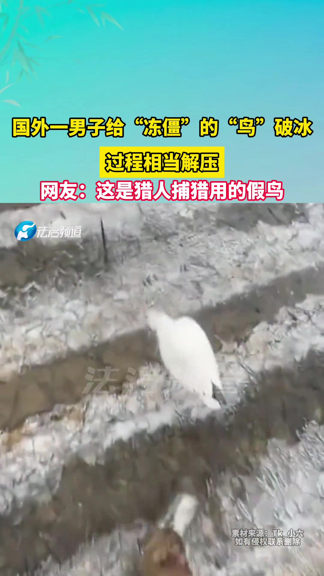 国外一男子给“冻僵”的“鸟”破冰，过程相当解压