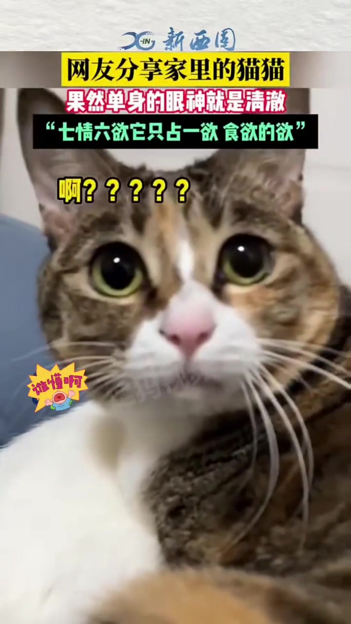 果然单身的眼神就是清澈